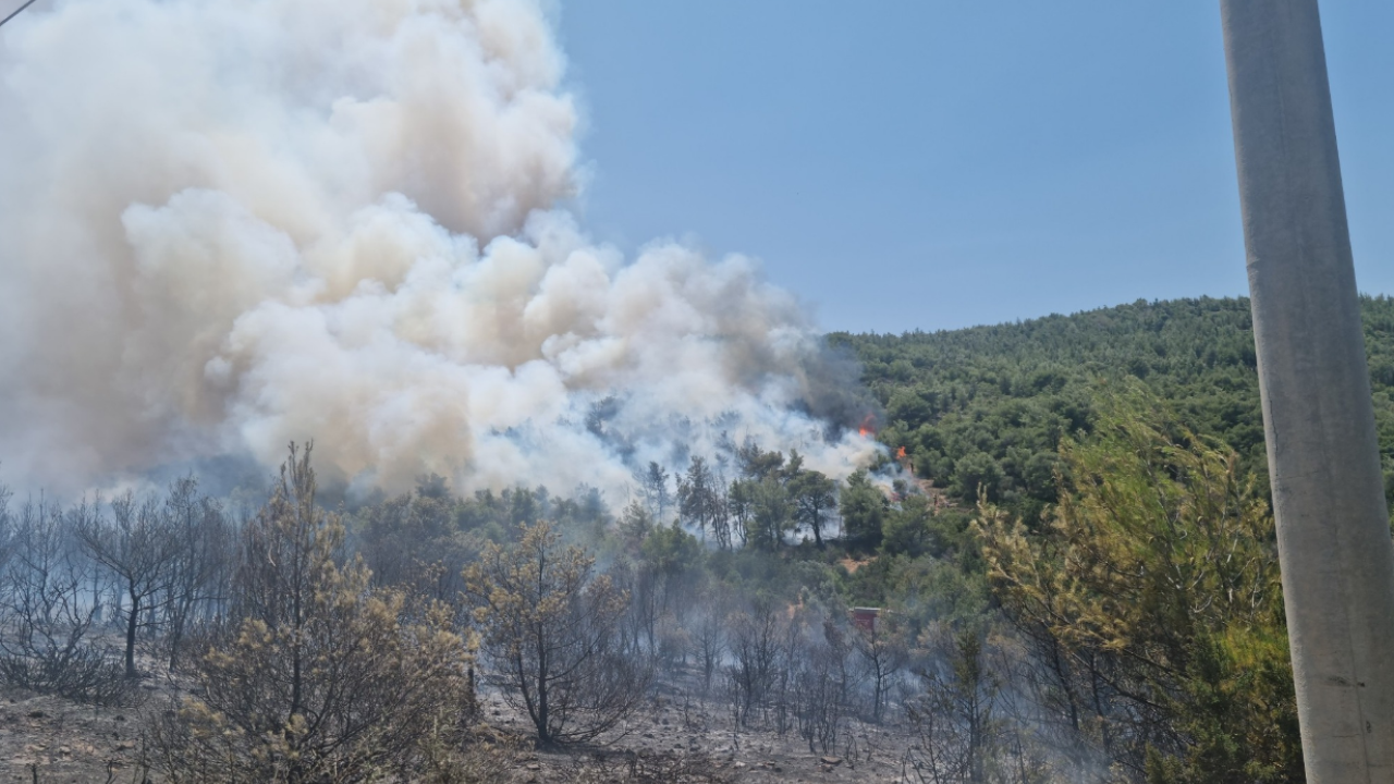 Φωτιά στο Γραμματικό – Στο σημείο ισχυρές δυνάμεις της Πυροσβεστικής Φωτιά στο Γραμματικό – Στο σημείο ισχυρές δυνάμεις της Πυροσβεστικής