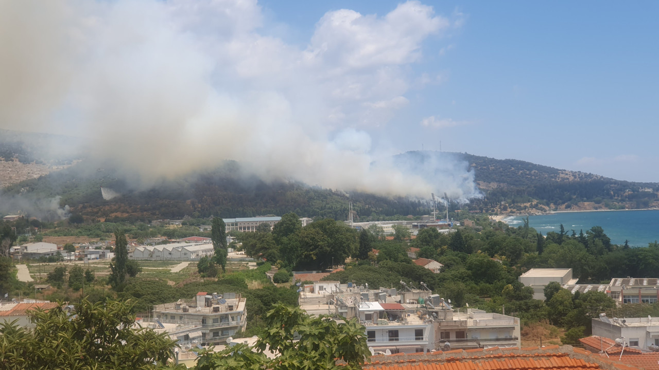 Υπό πλήρη έλεγχο η φωτιά στην Καβάλα - Για εμπρησμό έκανε λόγο ο βουλευτής της ΝΔ Γιάννης Πασχαλίδης - Δείτε βίντεο