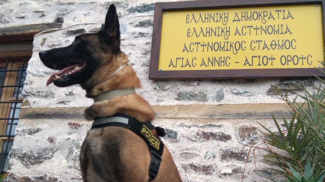 Βγαίνει στη σύνταξη ο πιο διάσημος σκύλος περιπολίας της ΕΛΑΣ