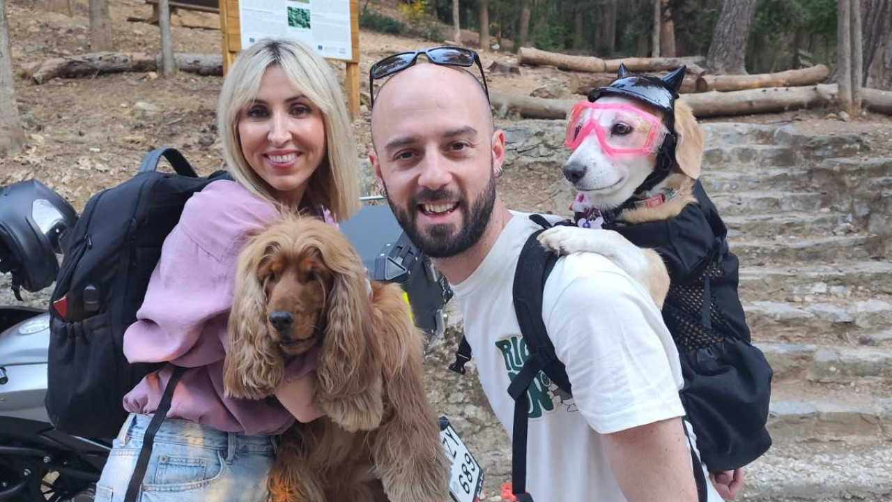 Pet Stories: Με τη Νίκη Ζαρκάδα και τον… Τζόρνταν – Δείτε το trailer
