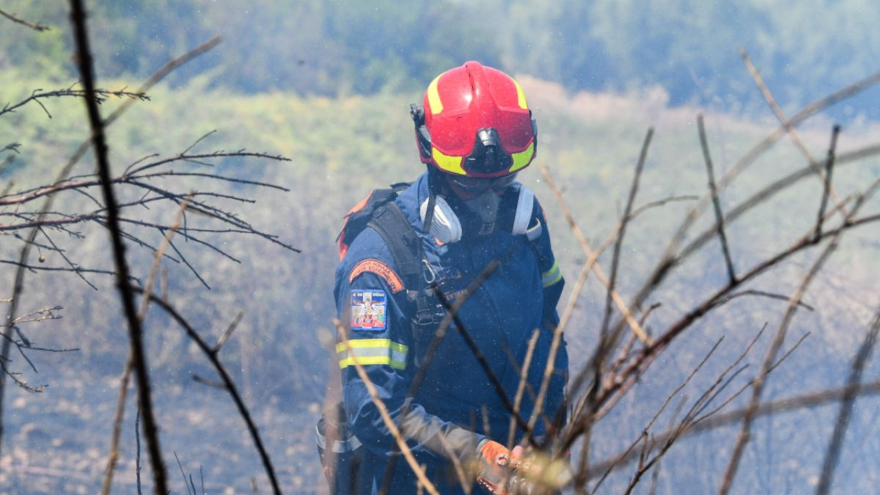 Πληρωμή 13,5 εκατ. ευρώ από τον ΕΛΓΑ για τις πυρκαγιές του 2021