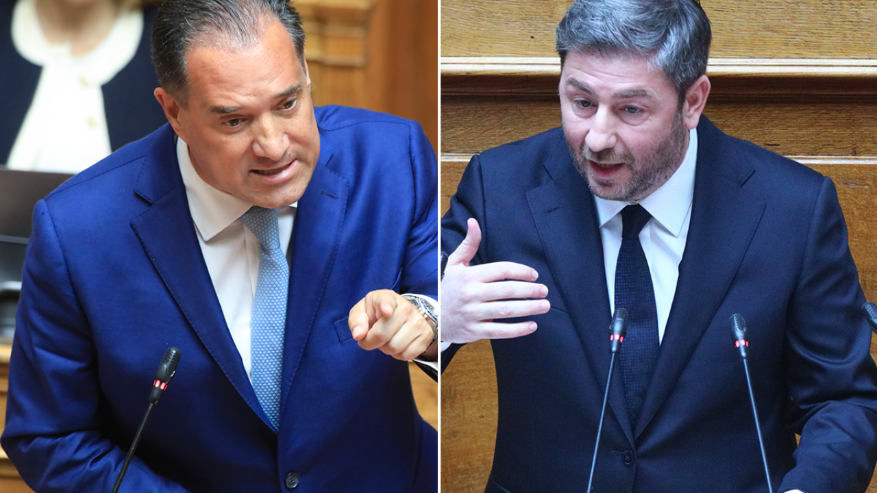 Άγρια κόντρα Γεωργιάδη-Ανδρουλάκη στη Βουλή: «Μην μας υποδύεστε τις αθώες περιστερές» - «Σας έπιασαν με τη γίδα στην πλάτη»