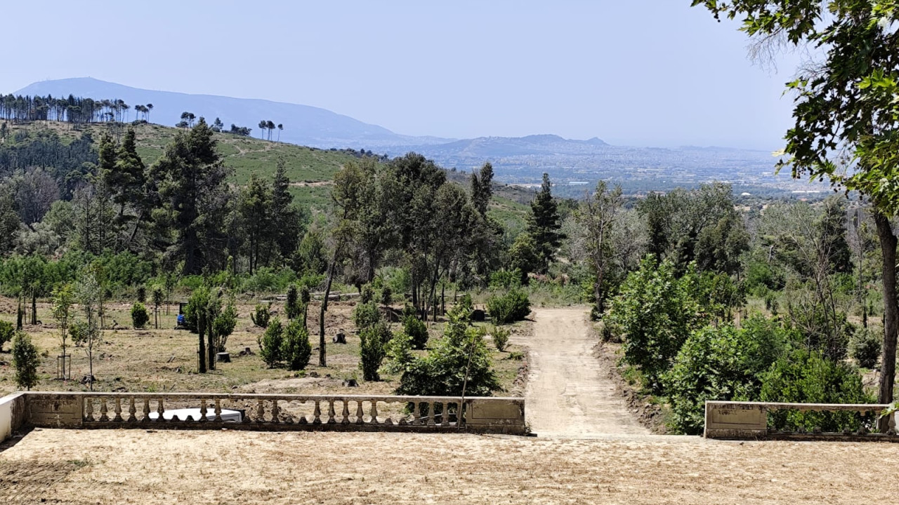 Τατόι: Προχωρούν τα έργα αποκατάστασης – Παράδοση των μουσείων το 2026 Τατόι: Προχωρούν τα έργα αποκατάστασης – Παράδοση των μουσείων το 2026