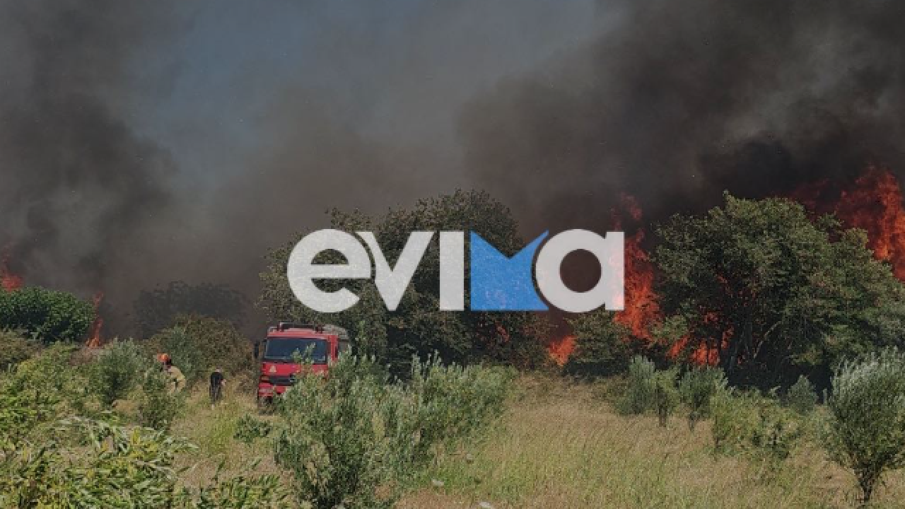 Φωτιά κοντά σε σπίτια στο Αλιβέρι Εύβοιας - Σηκώθηκαν εναέρια - 112 για εκκένωση της περιοχής του Ποντικού (Βίντεο)