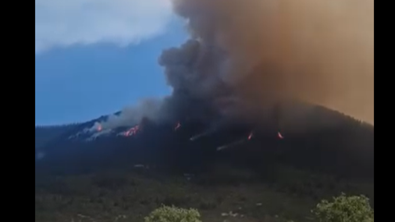 Μεγάλη αναζωπύρωση της φωτιάς στον Φενεό Κορινθίας – Μήνυμα 112 για εκκένωση Μεγάλη αναζωπύρωση της φωτιάς στον Φενεό Κορινθίας – Μήνυμα 112 για εκκένωση