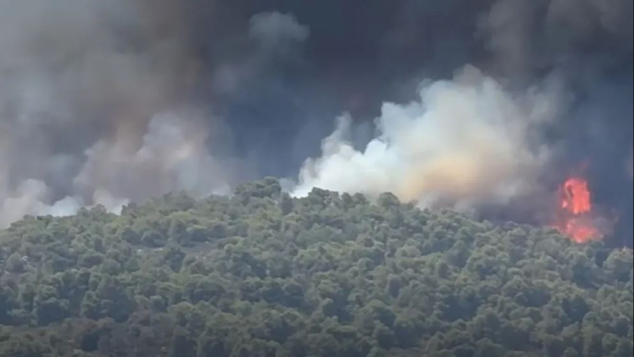 Καλύτερη η εικόνα της φωτιάς στη Βουρβουρού Χαλκιδικής, μετά από ολυνύχτια μάχη με τις φλόγες