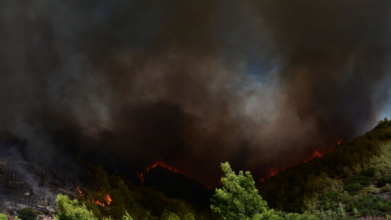 Φωτιά στην Κάμενα της Αρχαίας Ολυμπίας - Καίγεται δασική έκταση