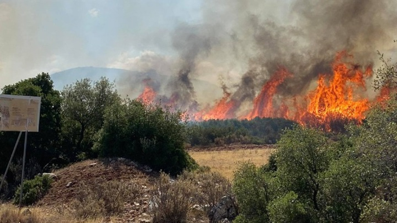 Φωτιές: Πολύ υψηλός κίνδυνος σήμερα σε Ιόνιο, Αρκαδία, Μεσσηνία, Ηλεία και Αχαΐα Φωτιές: Πολύ υψηλός κίνδυνος σήμερα σε Ιόνιο, Αρκαδία, Μεσσηνία, Ηλεία και Αχαΐα