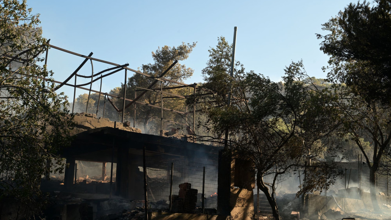 Ο Κατσαφάδος αύριο σε Ραφήνα, Σπάτα και Κρωπία για αυτοψίες μετά τις πυρκαγιές Ο Κατσαφάδος αύριο σε Ραφήνα, Σπάτα και Κρωπία για αυτοψίες μετά τις πυρκαγιές