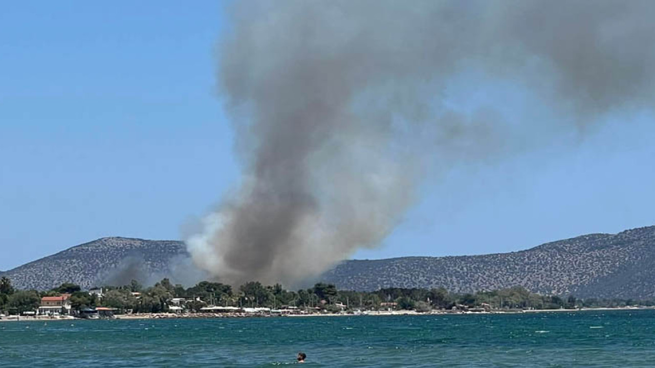 Φωτιά στον Μαραθώνα – Μεγάλη κινητοποίηση της Πυροσβεστικής Φωτιά στον Μαραθώνα – Μεγάλη κινητοποίηση της Πυροσβεστικής