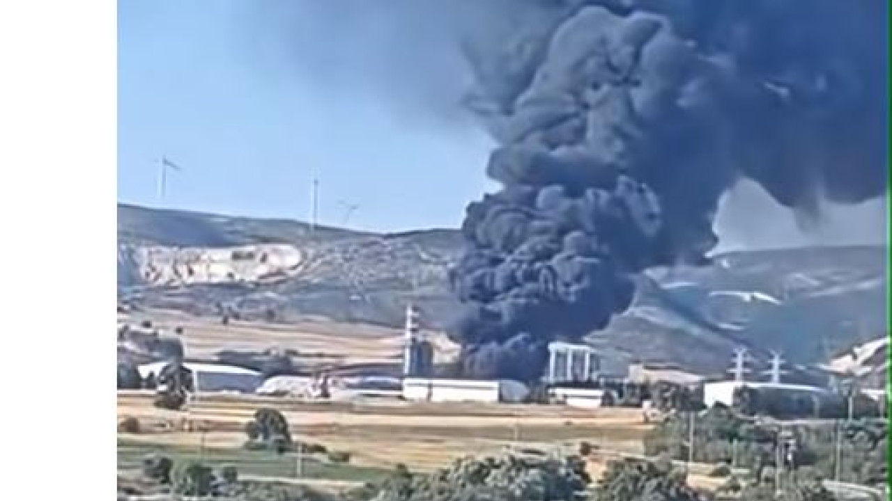 Φωτιά σε χαμηλή βλάστηση στην Αλεξανδρούπολη Φωτιά σε χαμηλή βλάστηση στην Αλεξανδρούπολη