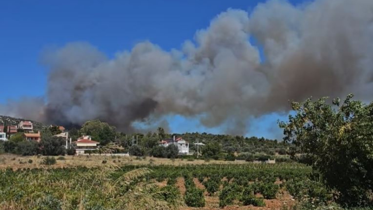Μεγάλη φωτιά στη λεωφόρο Μαραθώνος στη Ραφήνα - Ήχησε το 112 για εκκενώσεις (Βίντεο)