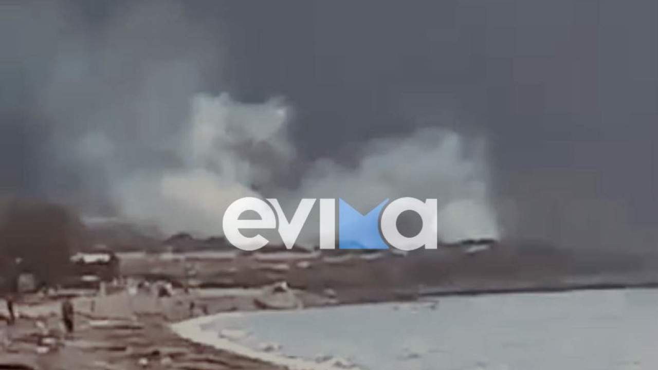 Φωτιά στα Λουκίσια Ευβοίας