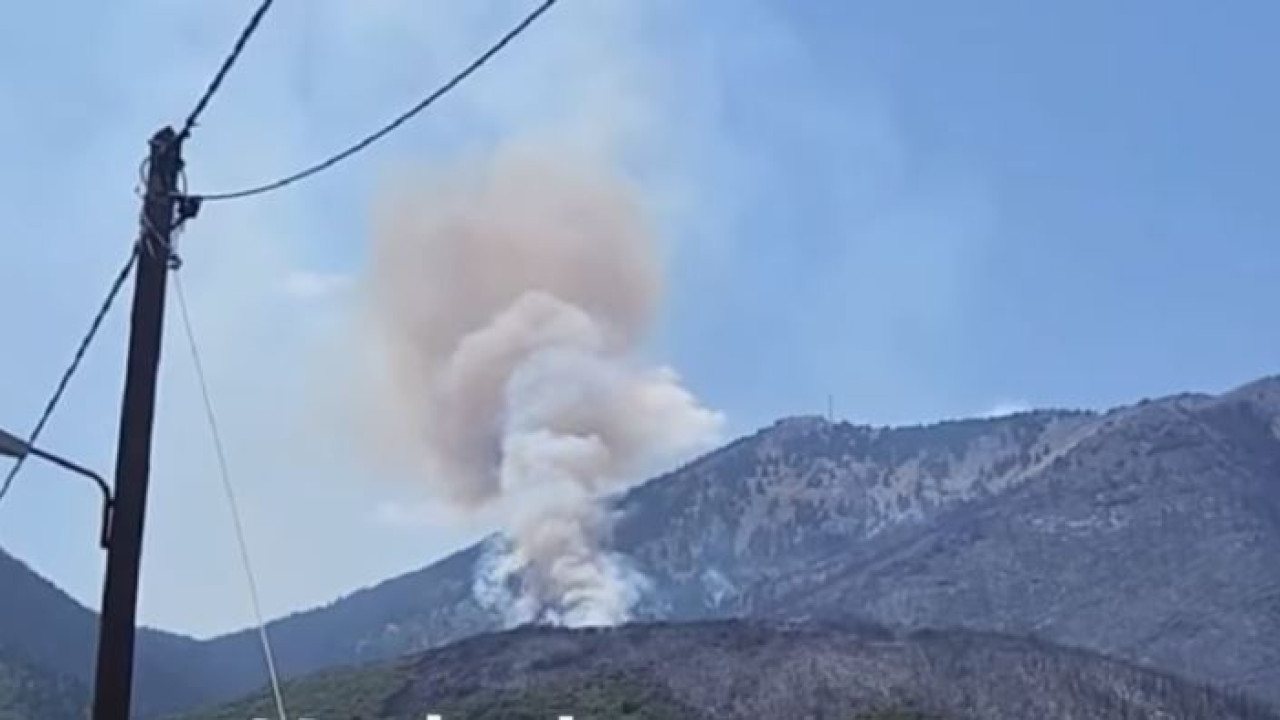 Φενεός: Μάχη με τις φλόγες για 3η μέρα – Νέα αναζωπύρωση στη Λαύκα Φενεός: Μάχη με τις φλόγες για 3η μέρα – Νέα αναζωπύρωση στη Λαύκα