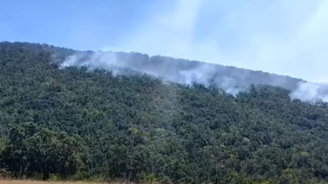 Κοζάνη: Αναζωπυρώθηκε λόγω των ανέμων η φωτιά στα Λιβερά Κοζάνη: Αναζωπυρώθηκε λόγω των ανέμων η φωτιά στα Λιβερά