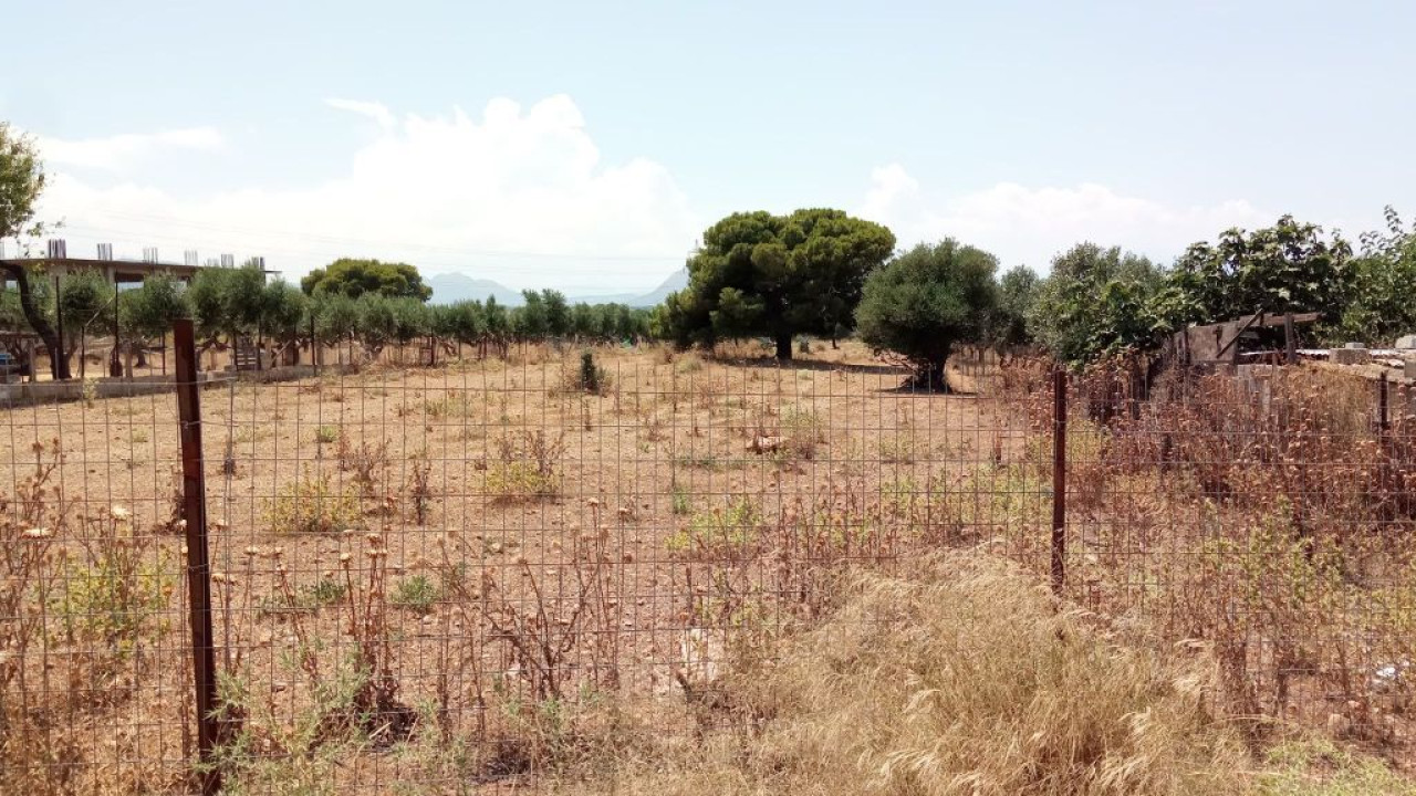Η Πυροσβεστική ξεκίνησε ελέγχους σε ακαθάριστα οικόπεδα – 3.748 καταγγελίες πολιτών σε 18 ημέρες! Η Πυροσβεστική ξεκίνησε ελέγχους σε ακαθάριστα οικόπεδα – 3.748 καταγγελίες πολιτών σε 18 ημέρες!