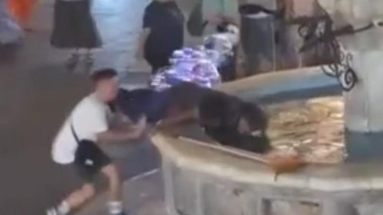Νεαρός πετάει άστεγο σε σιντριβάνι – Βίντεο της ντροπής στη Ρόδο Νεαρός πετάει άστεγο σε σιντριβάνι – Βίντεο της ντροπής στη Ρόδο
