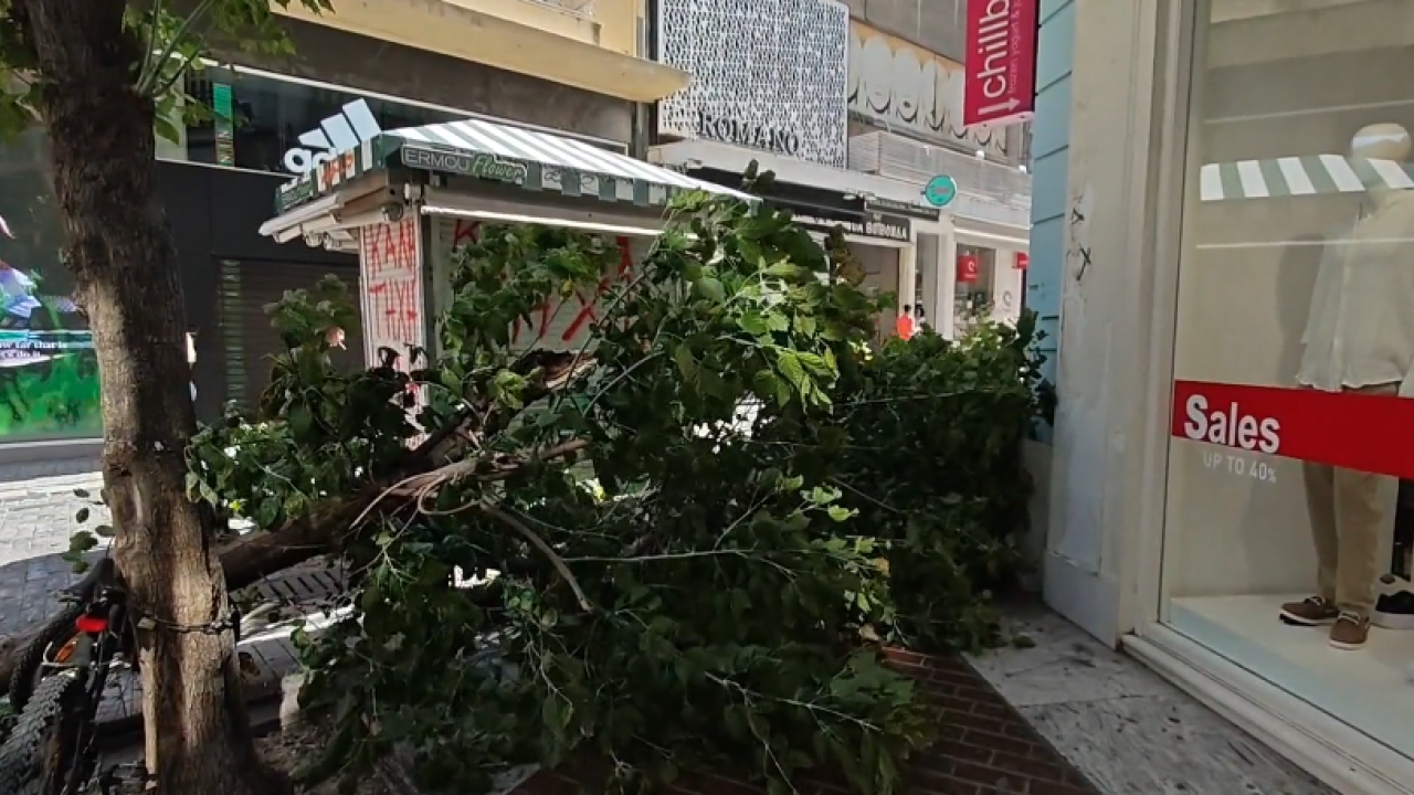 Δέντρο έπεσε στην Ερμού λόγω ισχυρών ανέμων (Βίντεο) Δέντρο έπεσε στην Ερμού λόγω ισχυρών ανέμων (Βίντεο)