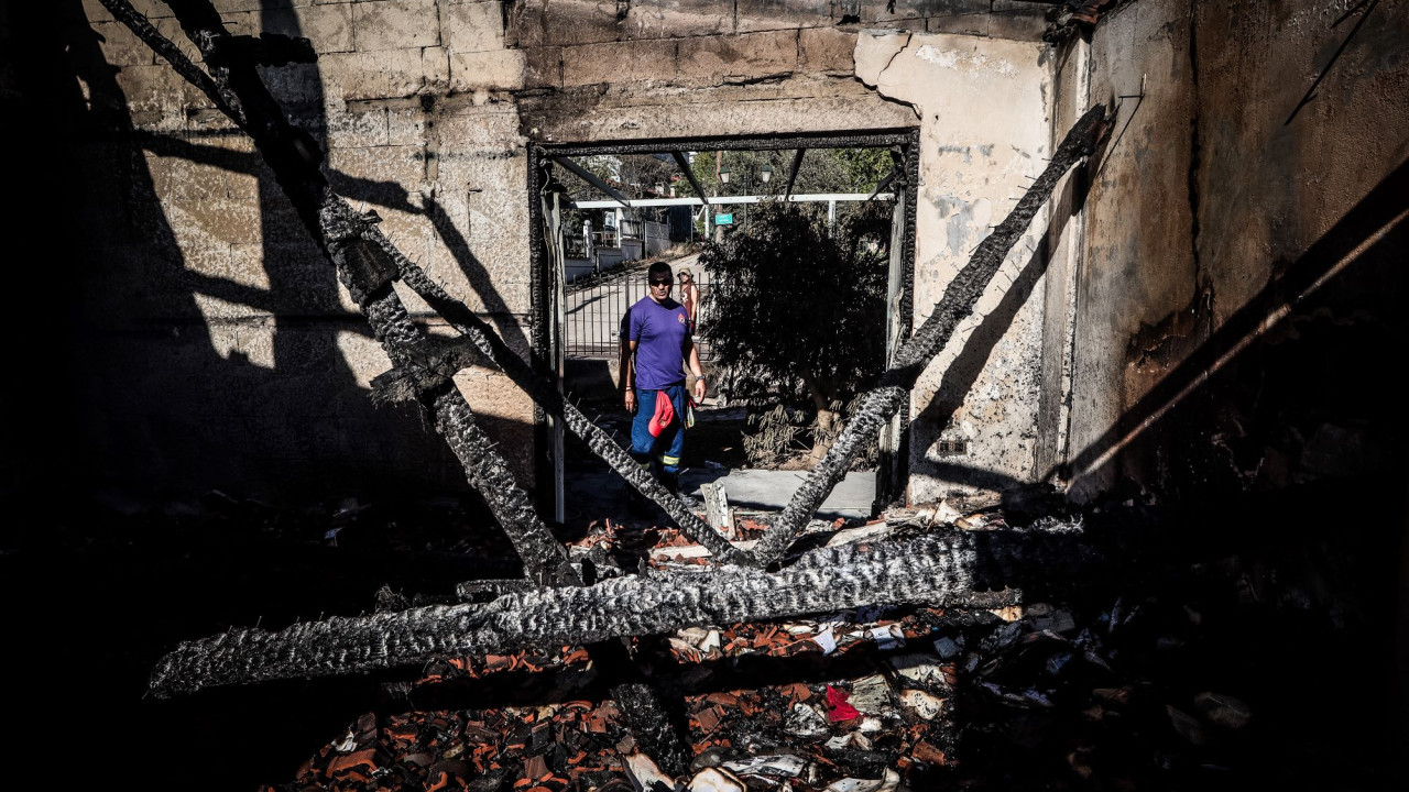 Τα αποτελέσματα των αυτοψιών σε Κρυονέρι, Μεσσηνία, Αρκαδία, Κρήτη και Κύθηρα μετά τις φωτιές Τα αποτελέσματα των αυτοψιών σε Κρυονέρι, Μεσσηνία, Αρκαδία, Κρήτη και Κύθηρα μετά τις φωτιές