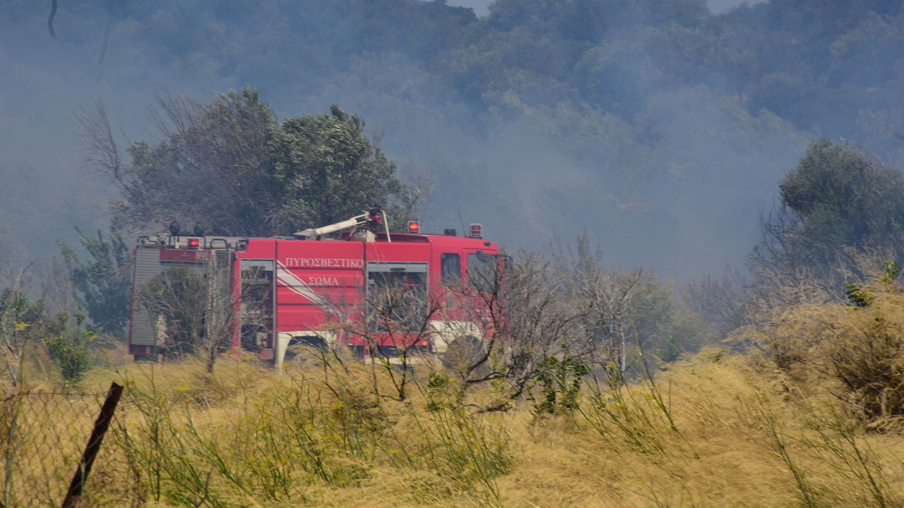 Φωτιά στον Ριόλο Αχαΐας | ΣΚΑΪ Φωτιά στον Ριόλο Αχαΐας | ΣΚΑΪ