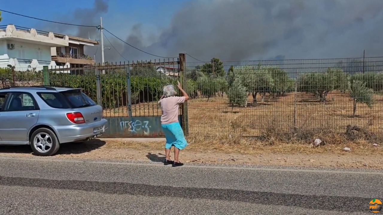 Φωτιά στην Κερατέα: Σπαρακτικές εικόνες στα μέτωπα Φωτιά στην Κερατέα: Σπαρακτικές εικόνες στα μέτωπα