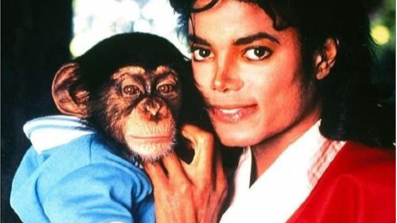 &Alpha;&pi;ό &tau;&eta; &delta;ό&xi;&alpha; &sigma;&tau;&eta;&hellip; &sigma;ύ&nu;&tau;&alpha;&xi;&eta;: &Omicron; &chi;&iota;&mu;&pi;&alpha;&tau;&zeta;ή&sigmaf; &tau;&omicron;&upsilon; &Mu;ά&iota;&kappa;&lambda; &Tau;&zeta;ά&kappa;&sigma;&omicron;&nu; &zeta;&epsilon;&iota; &mu;έ&sigma;&alpha; &sigma;&tau;&eta;&nu; &pi;&omicron;&lambda;&upsilon;&tau;έ&lambda;&epsilon;&iota;&alpha; (video)