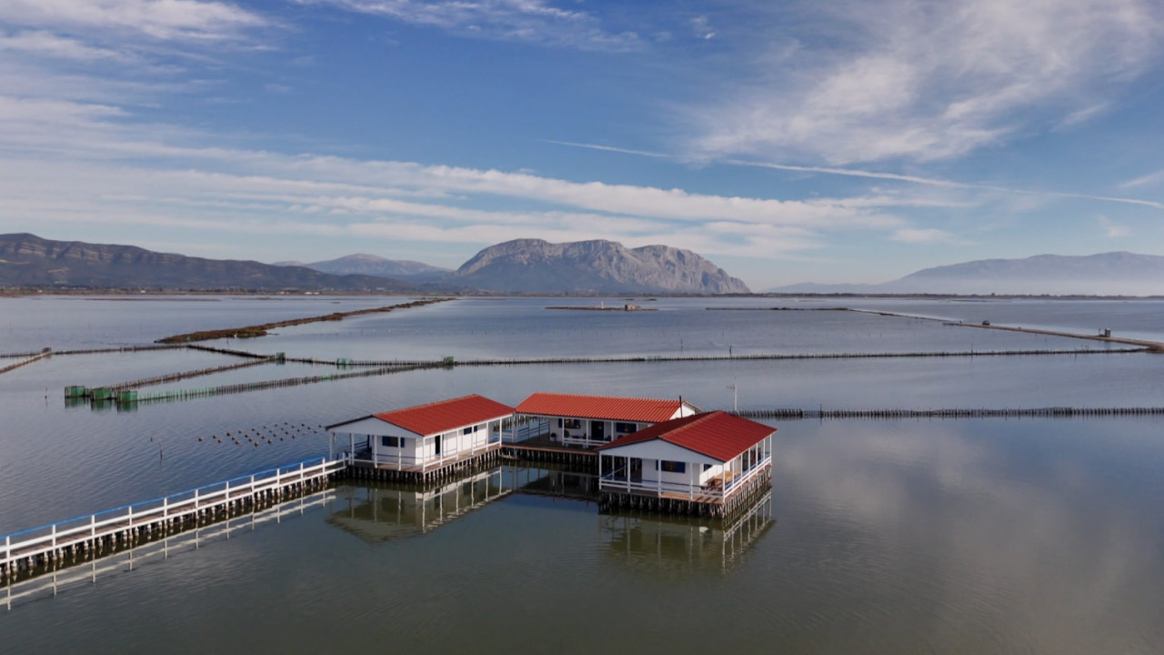 Ό&pi;&omicron;&upsilon; &Upsilon;&pi;ά&rho;&chi;&epsilon;&iota; &Epsilon;&lambda;&lambda;ά&delta;&alpha;: &Xi;&epsilon;&nu;ά&gamma;&eta;&sigma;&eta; &sigma;&tau;&omicron; &Mu;&epsilon;&sigma;&omicron;&lambda;ό&gamma;&gamma;&iota; &mu;&epsilon; &tau;&omicron;&nu; &Gamma;&iota;ά&nu;&nu;&eta; &Tau;&sigma;&iota;&mu;&iota;&tau;&sigma;έ&lambda;&eta; (Trailer)