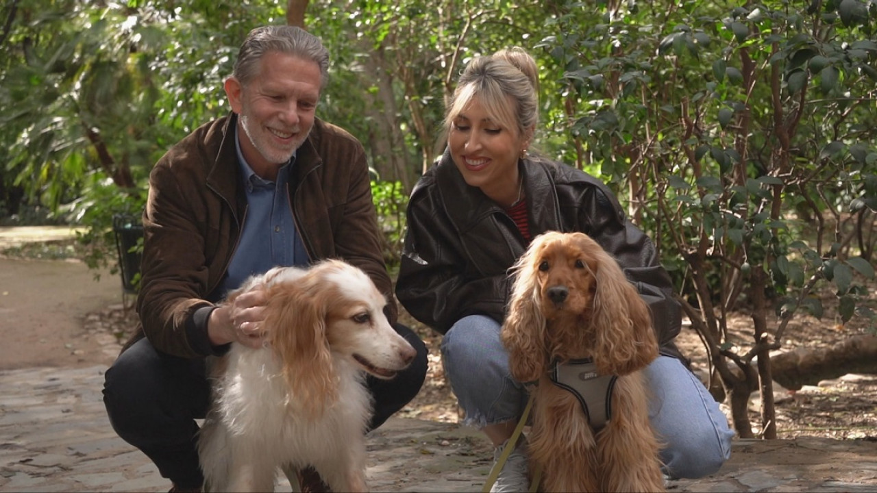 Pet Stories: &Sigma;&tau;&eta;&nu; &pi;&alpha;&rho;έ&alpha; &Pi;&alpha;ύ&lambda;&omicron;&sigmaf; &Gamma;&epsilon;&rho;&omicron;&upsilon;&lambda;ά&nu;&omicron;&sigmaf; &kappa;&alpha;&iota; &eta; &alpha;&gamma;&alpha;&pi;&eta;&mu;έ&nu;&eta; &tau;&omicron;&upsilon; &Phi;ί&lambda;&eta;- &Delta;&epsilon;ί&tau;&epsilon; &tau;&omicron; &tau;&rho;έ&iota;&lambda;&epsilon;&rho;