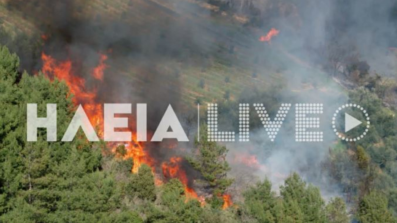 ΕΛΑΙΩΝΑΣ ΠΥΡΓΟΥ: ΜΕΓΑΛΗ ΔΑΣΙΚΗ ΠΥΡΚΑΓΙΑ ΣΕ ΕΞΕΛΙΞΗ