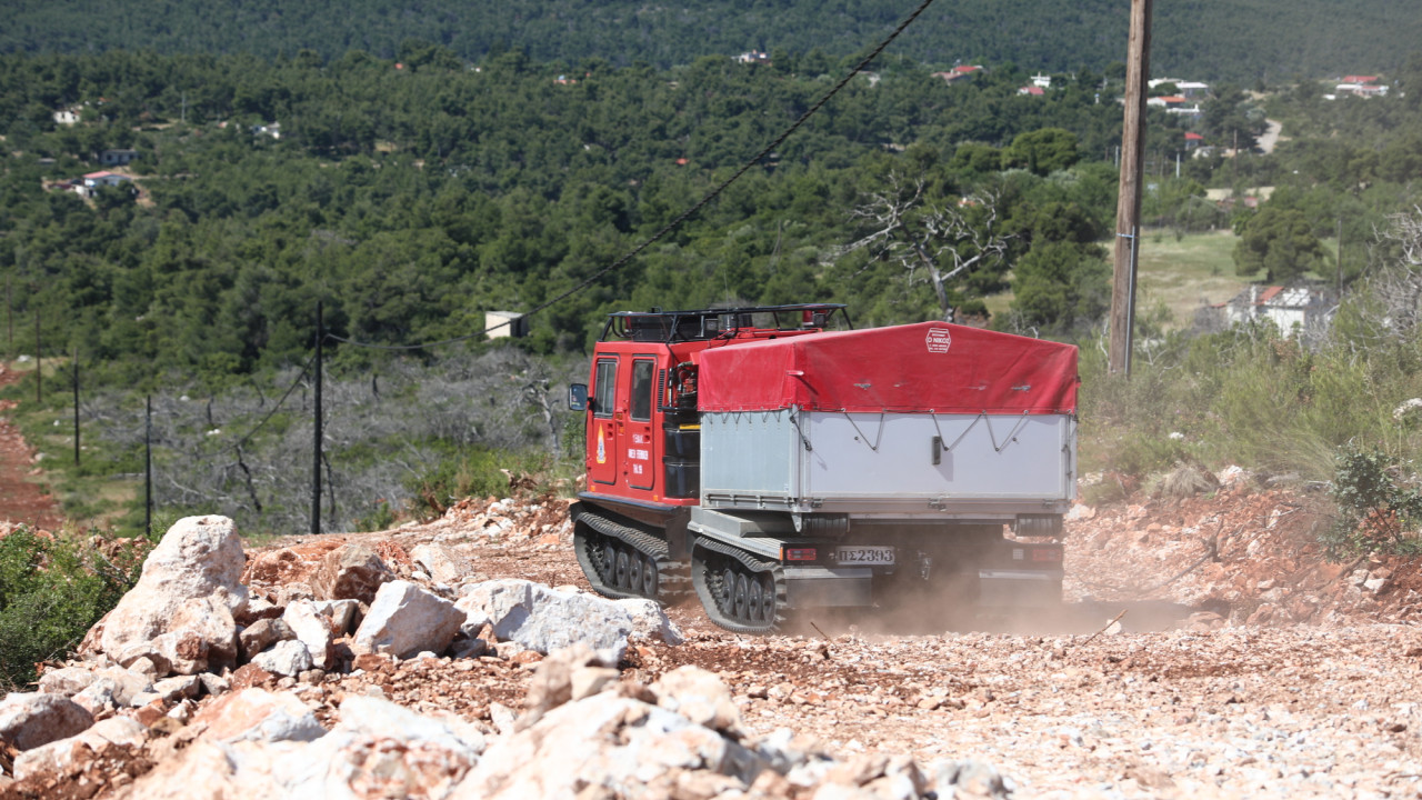 &Phi;&omega;&tau;&iota;ά &sigma;&epsilon; &delta;&alpha;&sigma;&iota;&kappa;ή έ&kappa;&tau;&alpha;&sigma;&eta; &sigma;&tau;&alpha; &Gamma;&rho;&epsilon;&beta;&epsilon;&nu;ά &sigma;&epsilon; &delta;ύ&sigma;&beta;&alpha;&tau;&omicron; &sigma;&eta;&mu;&epsilon;ί&omicron;