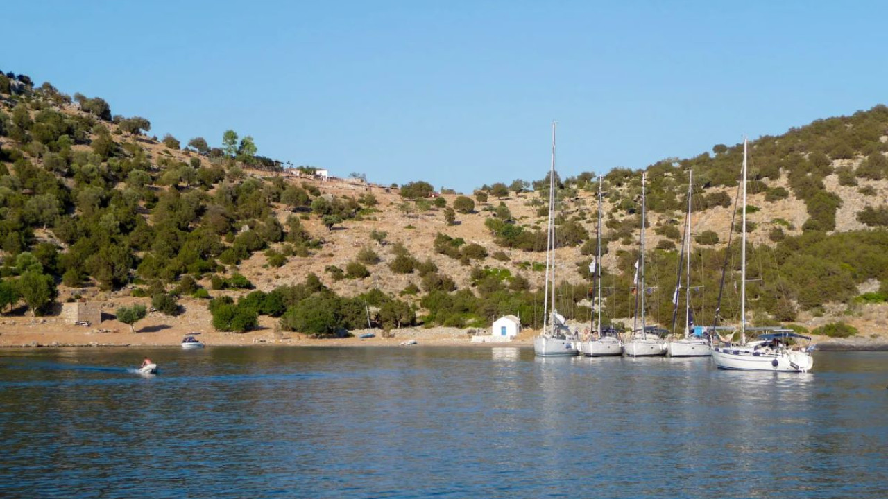 Εξόρμηση στον καταπράσινο Δοκό Ύδρας