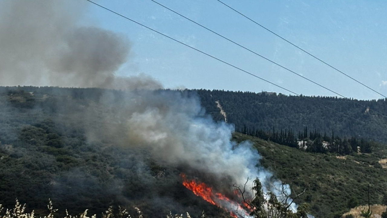 Τρεις συλλήψεις για την πυρκαγιά σε δασική έκταση 
