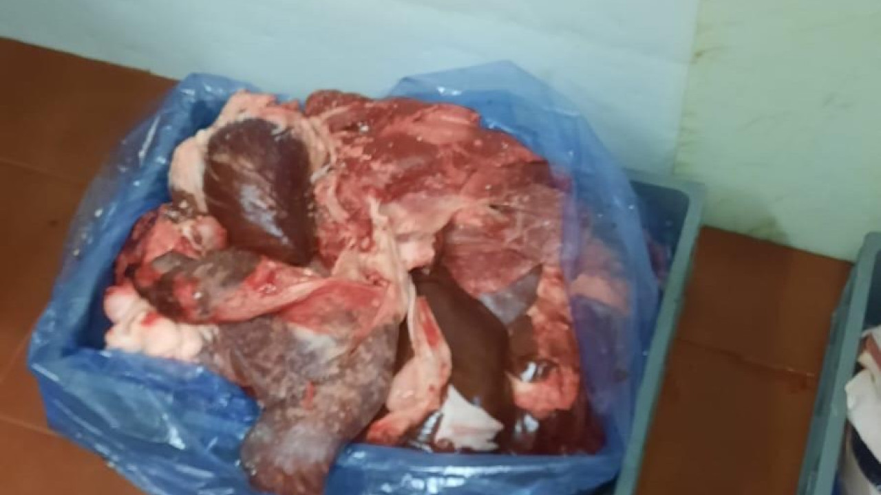 Νέα μεγάλη κατάσχεση 5,3 τόνων ακατάλληλου κρέατος και εισήγ