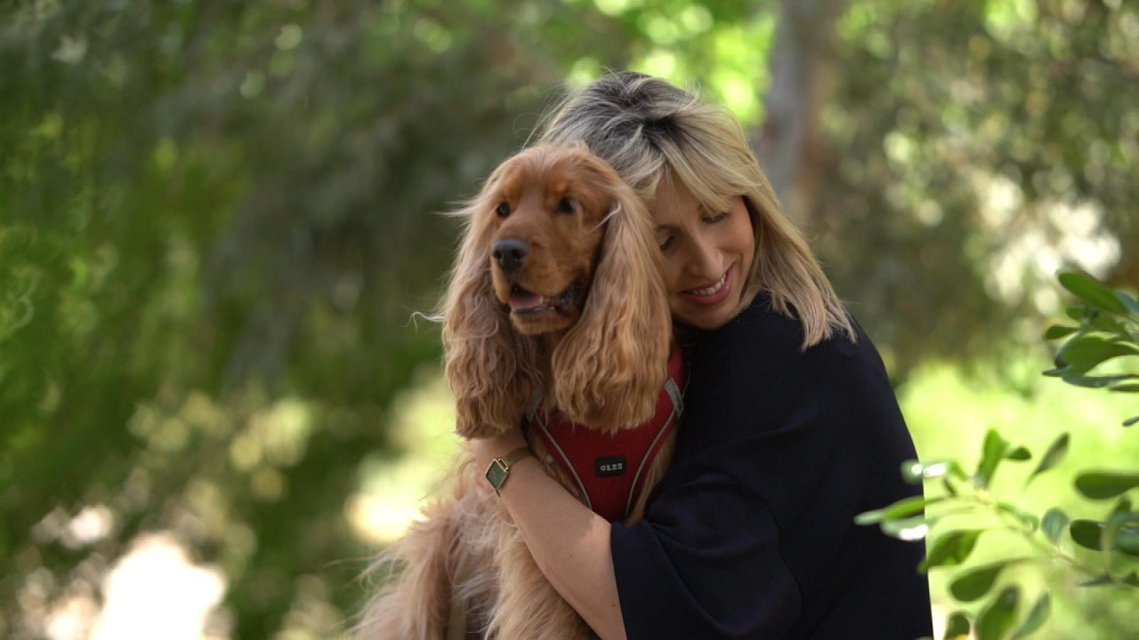 Pet Stories... Full of love: &Mu;&epsilon; &tau;&eta; &Nu;ί&kappa;&eta; &Zeta;&alpha;&rho;&kappa;ά&delta;&alpha; &kappa;&alpha;&iota; &tau;&omicron;&nu;&hellip; &Tau;&zeta;ό&rho;&nu;&tau;&alpha;&nu;- O&iota; &iota;&sigma;&tau;&omicron;&rho;ί&epsilon;&sigmaf; &pi;&omicron;&upsilon; &mu;&alpha;&sigmaf; έ&kappa;&alpha;&nu;&alpha;&nu; &nu;&alpha; &sigma;&upsilon;&gamma;&kappa;&iota;&nu;&eta;&theta;&omicron;ύ&mu;&epsilon;