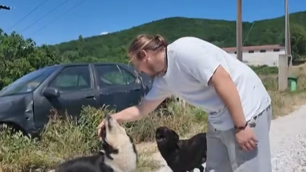 &Beta;ά&beta;&delta;&omicron;&sigmaf; &Chi;&alpha;&lambda;&kappa;&iota;&delta;&iota;&kappa;ή&sigmaf;: &Omicron;&rho;&gamma;ή &kappa;&alpha;&iota; &theta;&lambda;ί&psi;&eta; &mu;&epsilon;&tau;ά &tau;&eta; &mu;&alpha;&zeta;&iota;&kappa;ή &delta;&eta;&lambda;&eta;&tau;&eta;&rho;ί&alpha;&sigma;&eta; 21 &sigma;&kappa;ύ&lambda;&omega;&nu;