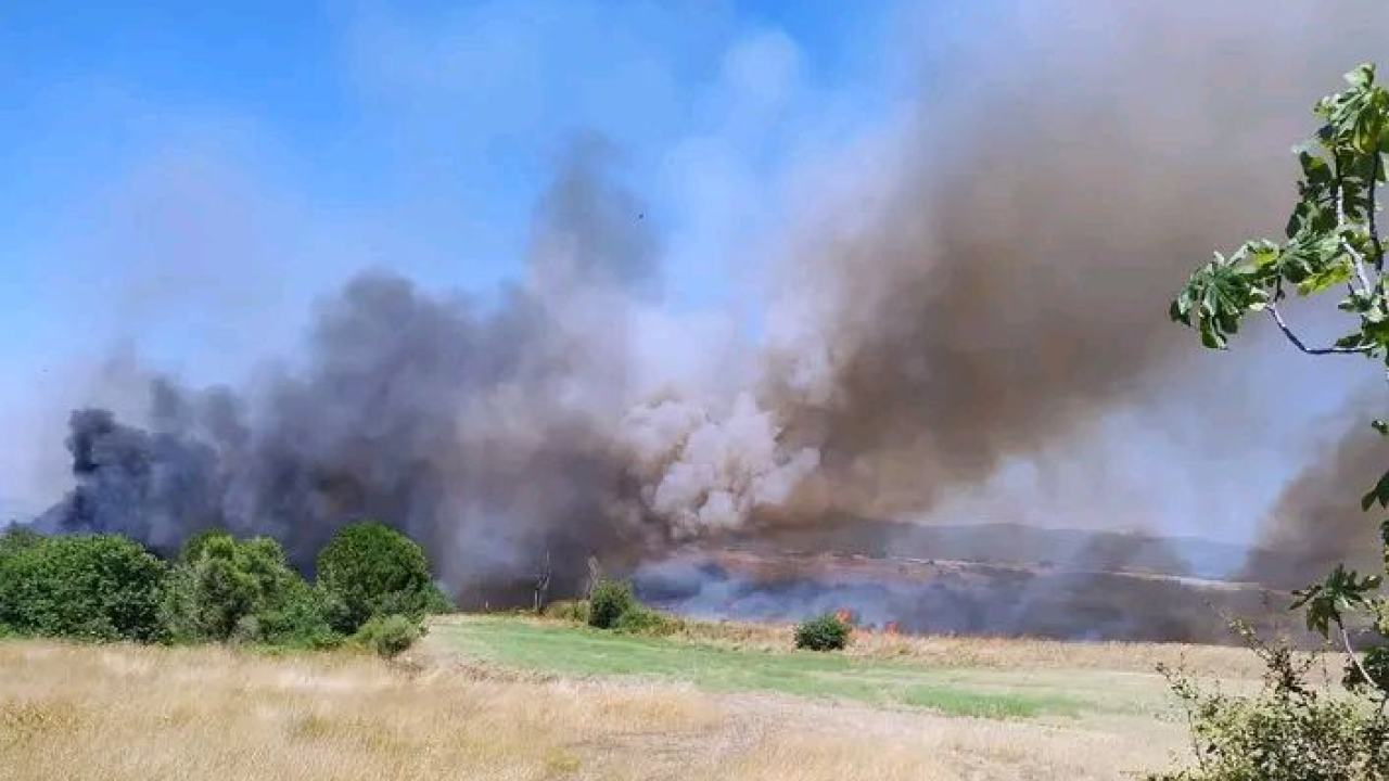 Πυρκαγιά στην Ηλεία - Στην περιοχή πνέουν ισχυροί άνεμοι
