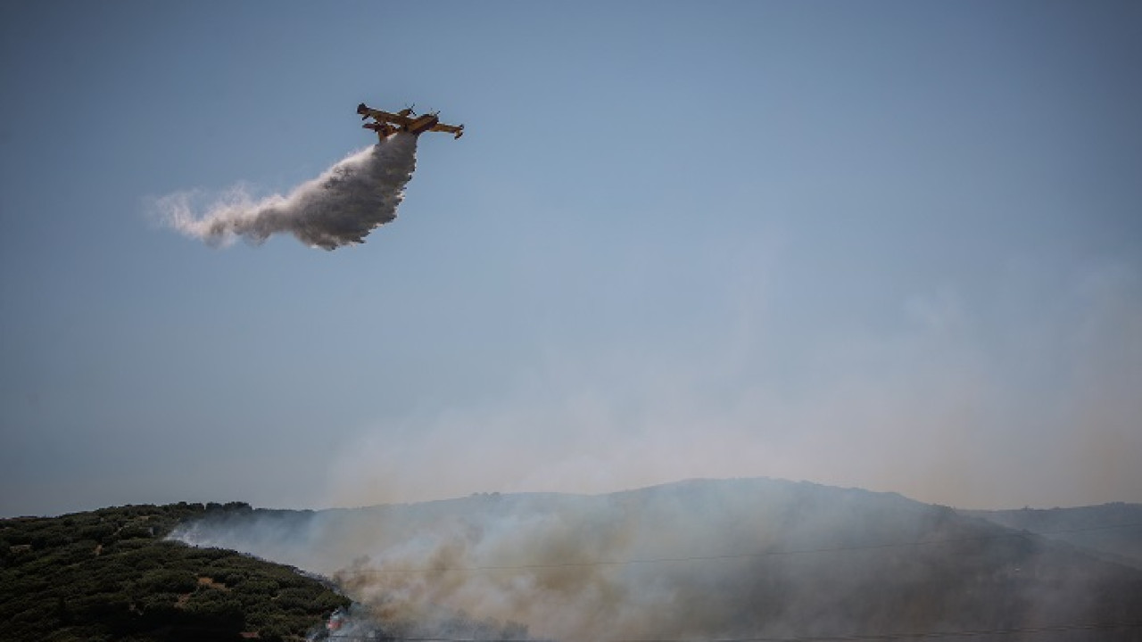 Θεσσαλονίκη: Σύλληψη 51χρονου για τη φωτιά στο Δερβένι – Προκλήθηκε από γεωργικές εργασίες Θεσσαλονίκη: Σύλληψη 51χρονου για τη φωτιά στο Δερβένι – Προκλήθηκε από γεωργικές εργασίες