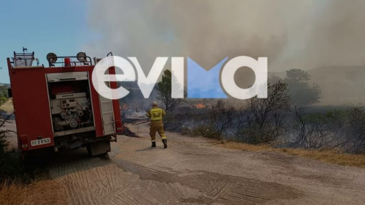 Οριοθετημένη και χωρίς ενεργό μέτωπο η φωτιά στο Αλιβέρι Εύβοιας Οριοθετημένη και χωρίς ενεργό μέτωπο η φωτιά στο Αλιβέρι Εύβοιας