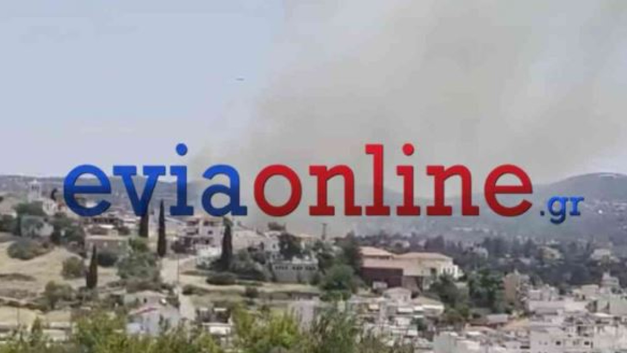 &Beta;&epsilon;&lambda;&tau;&iota;&omega;&mu;έ&nu;&eta; &eta; &epsilon;&iota;&kappa;ό&nu;&alpha; &tau;&eta;&sigmaf; &phi;&omega;&tau;&iota;ά&sigmaf; &sigma;&tau;&omicron; &Alpha;&lambda;&iota;&beta;έ&rho;&iota; &Epsilon;ύ&beta;&omicron;&iota;&alpha;&sigmaf;: &Epsilon;&pi;&iota;&chi;&epsilon;&iota;&rho;&omicron;ύ&nu; &kappa;&alpha;&iota; 9 &epsilon;&nu;&alpha;έ&rho;&iota;&alpha;