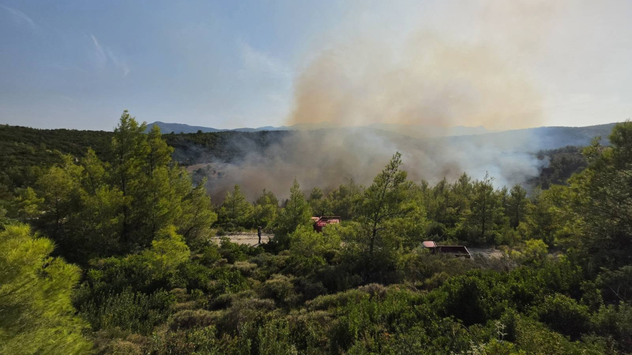 ΧΩΡΙΣ ΕΝΕΡΓΟ ΜΕΤΩΠΟ Η ΦΩΤΙΑ ΣΤΟ ΜΑΡΚΟΠΟΥΛΟ ΩΡΩΠΟΥ