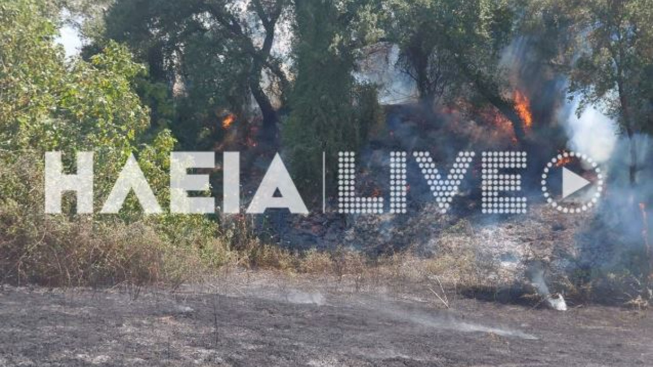 ΠΥΡΚΑΓΙΑ ΣΤΟ ΤΡΑΓΑΝΟ ΗΛΕΙΑΣ- ΔΕΙΤΕ ΦΩΤΟΓΡΑΦΙΕΣ