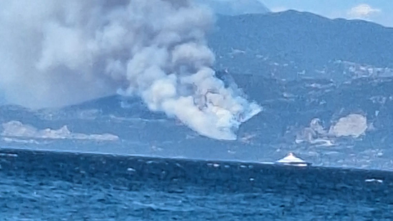ΦΩΤΙΑ ΣΕ ΔΑΣΙΚΗ ΕΚΤΑΣΗ ΚΟΝΤΑ ΣΕ ΟΙΚΙΣΜΟ ΣΤΗ ΦΩΚΙΔΑ - ΜΗΝΥΜΑ ΑΠΟ 112 ΓΙΑ 4 ΕΚΚΕΝΩΣΕΙΣ ΟΙΚΙΣΜΩΝ