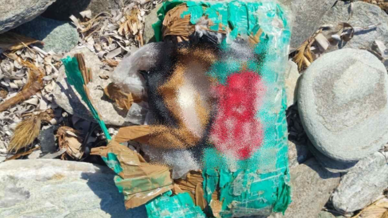 ΕΝΤΟΠΙΣΜΟΣ ΚΑΙ ΚΑΤΑΣΧΕΣΗ 2,3 ΚΙΛΩΝ ΝΑΡΚΩΤΙΚΗΣ ΟΥΣΙΑΣ ΣΤΗΝ ΑΝΔΡΟ