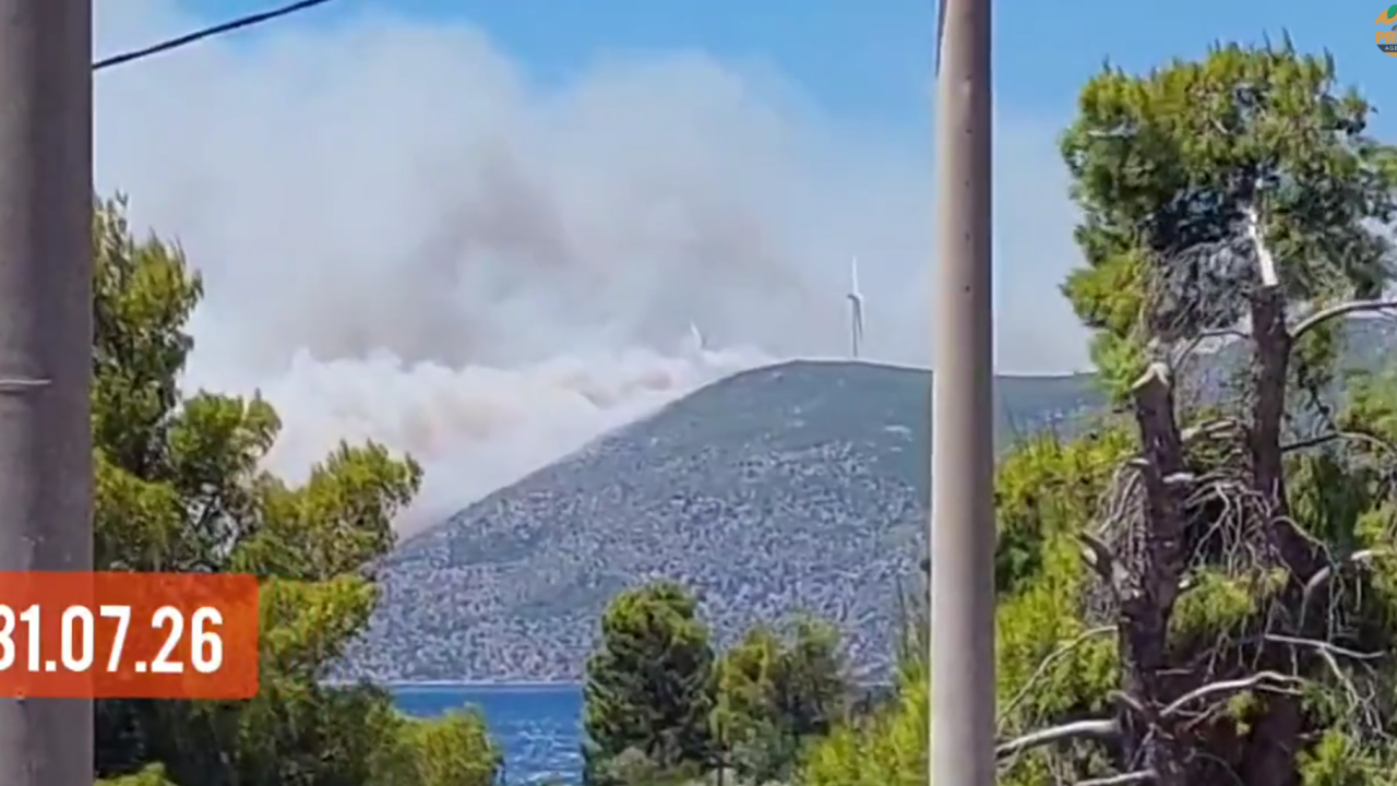 Αττικοβοιωτία: Βίντεο που εξετάζεται ως η στιγμή εκκίνησης της πυρκαγιάς στον Αγιο Βασίλειο