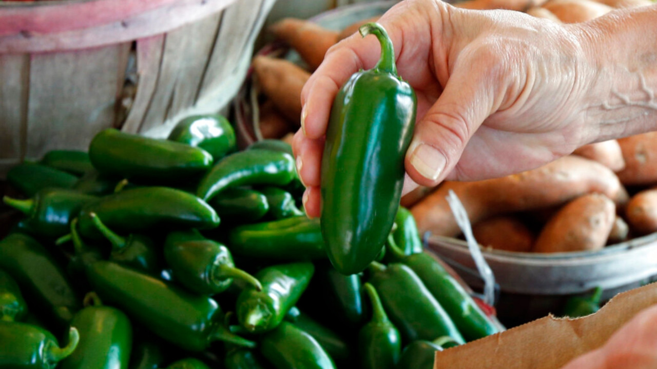 &Eta;&Pi;&Alpha;: &Alpha;&nu;ά&kappa;&lambda;&eta;&sigma;&eta; &mu;&epsilon;&xi;&iota;&kappa;&alpha;&nu;&iota;&kappa;ώ&nu; &pi;&iota;&pi;&epsilon;&rho;&iota;ώ&nu; jalape&ntilde;o &mu;&epsilon;&tau;ά &alpha;&pi;ό &xi;έ&sigma;&pi;&alpha;&sigma;&mu;&alpha; &sigma;&alpha;&lambda;&mu;&omicron;&nu;έ&lambda;&alpha;&sigmaf; &ndash; 345 &kappa;&rho;&omicron;ύ&sigma;&mu;&alpha;&tau;&alpha; &sigma;&epsilon; 27 &pi;&omicron;&lambda;&iota;&tau;&epsilon;ί&epsilon;&sigmaf;