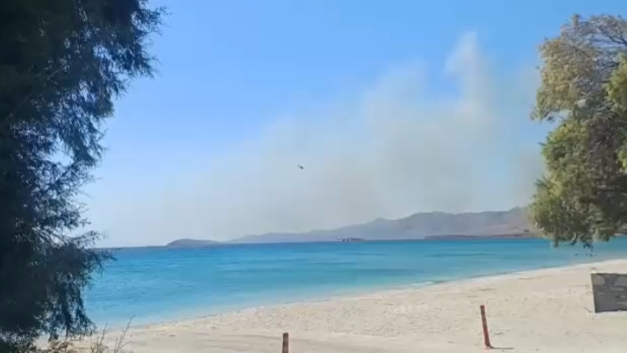 Ενισχύθηκαν οι δυνάμεις στη φωτιά στην Κάρυστο – Μήνυμα 112 για εκκένωση της Θεατρούπολης Ενισχύθηκαν οι δυνάμεις στη φωτιά στην Κάρυστο – Μήνυμα 112 για εκκένωση της Θεατρούπολης