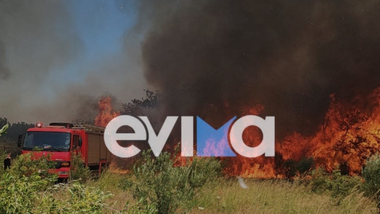 Πυροσβεστική: 32 αγροτοδασικές πυρκαγιές το τελευταίο 24ωρο σε όλη τη χώρα