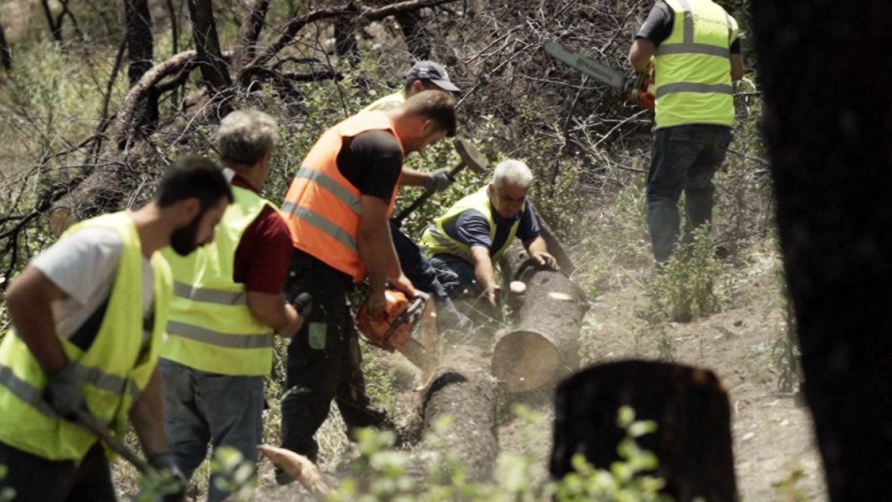 ΥΠΕΣ: Χρηματοδότηση €40 εκ. στους Δήμους για δράσεις πυροπροστασίας ΥΠΕΣ: Χρηματοδότηση €40 εκ. στους Δήμους για δράσεις πυροπροστασίας