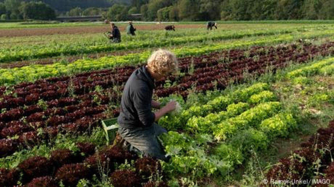 Γερμανία: Γιατί οι νέοι… σνομπάρουν το αγροτικό επάγγελμα;