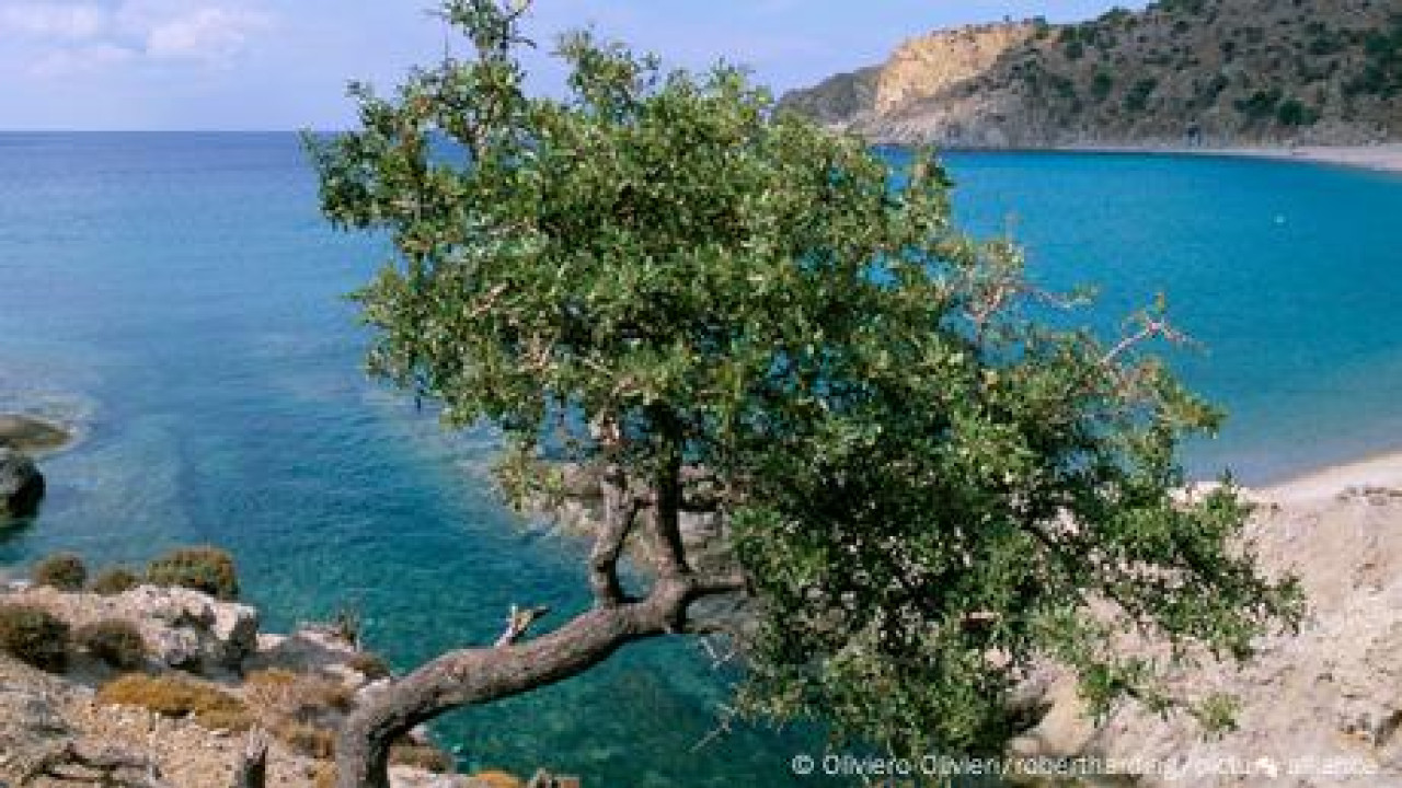 Η Ελλάδα στην Εμπορική Εκθεση Τουρισμού του Βερολίνου Η Ελλάδα στην Εμπορική Εκθεση Τουρισμού του Βερολίνου